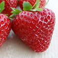 Земляника садовая Флорин